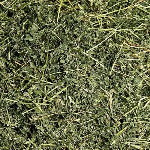 Alfalfa Hay
