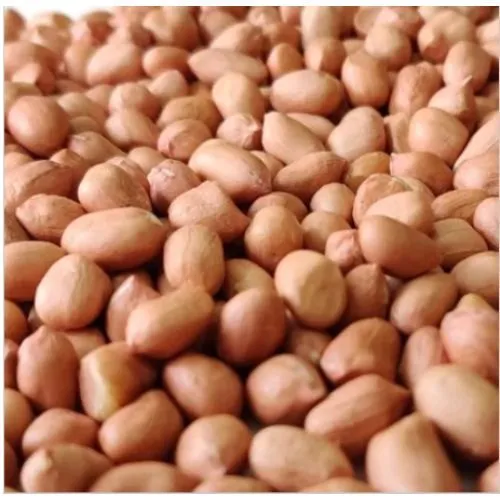 Bold Peanuts