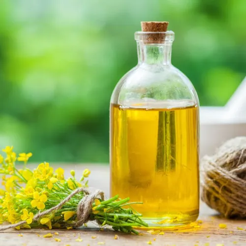 Canola Oil