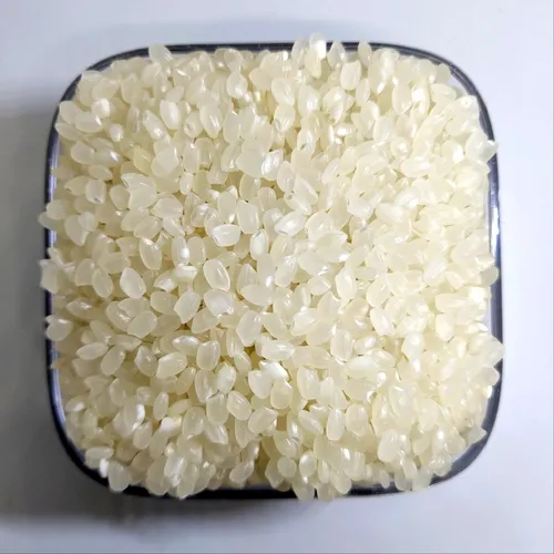 Japonica Rice