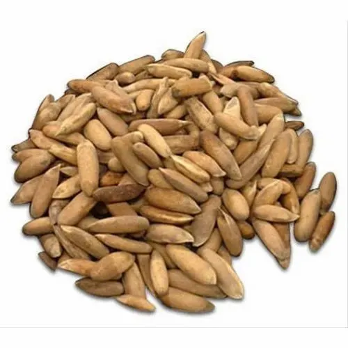 Pine Nuts